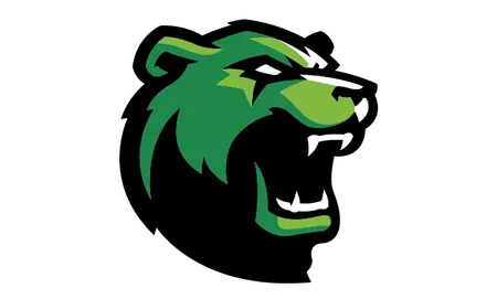 Brookhaven Bears logo