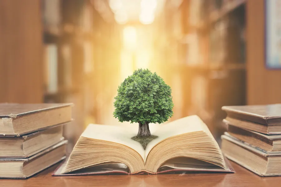 Open book with a small tree growing from its pages, flanked by stacks of books on a wooden table in a warmly lit library setting.