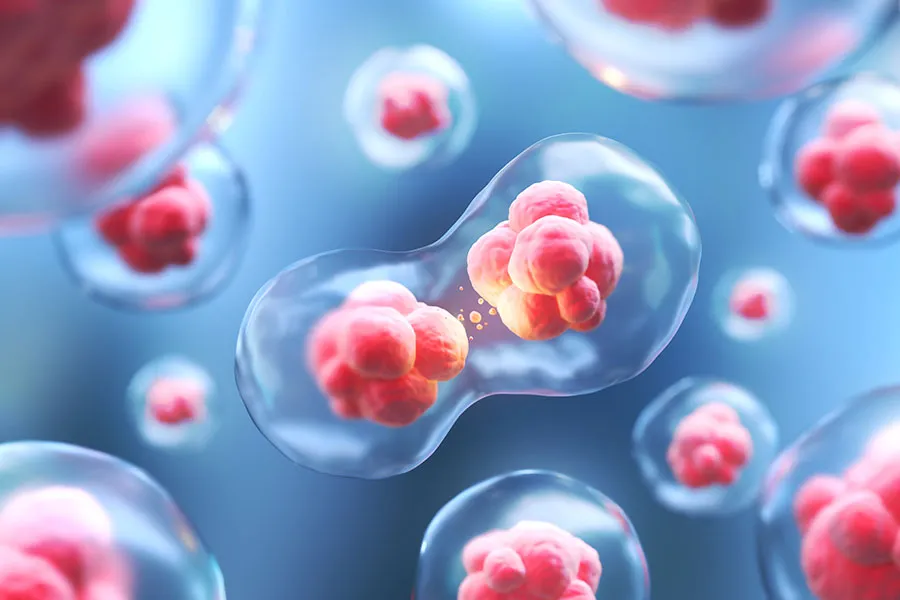 Scientific illustration of organic cells