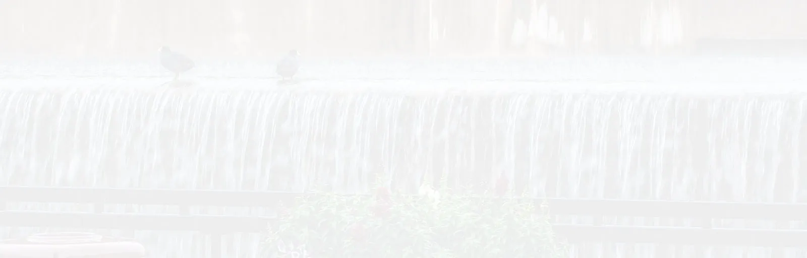 A faded picture of a waterfall at Richland