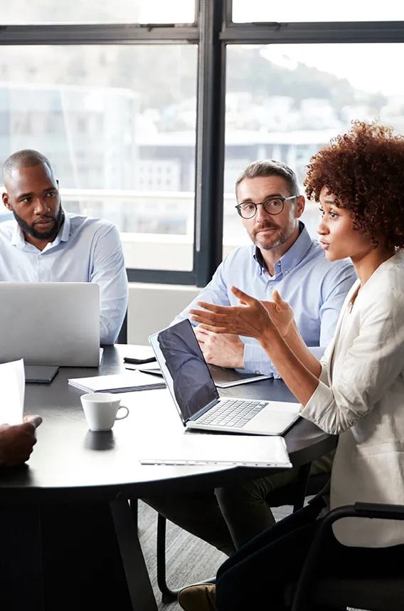 Image of a group of young professionals in a meeting