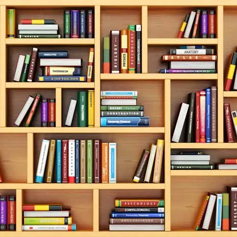 Books on the wooden bookshelf