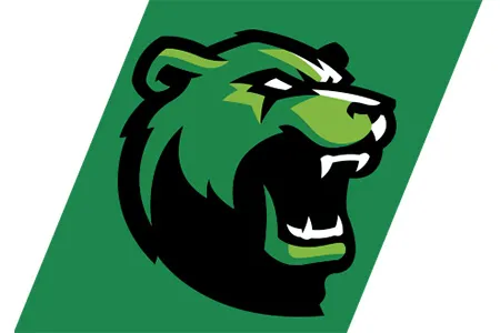Brookhaven Bears mascot