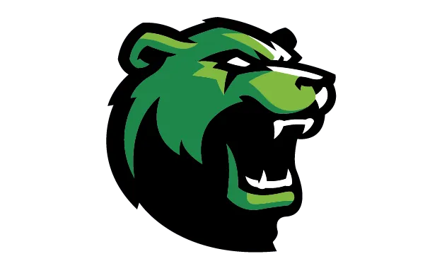 Brookhaven Bears logo