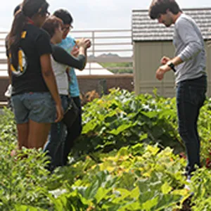 Students in garden