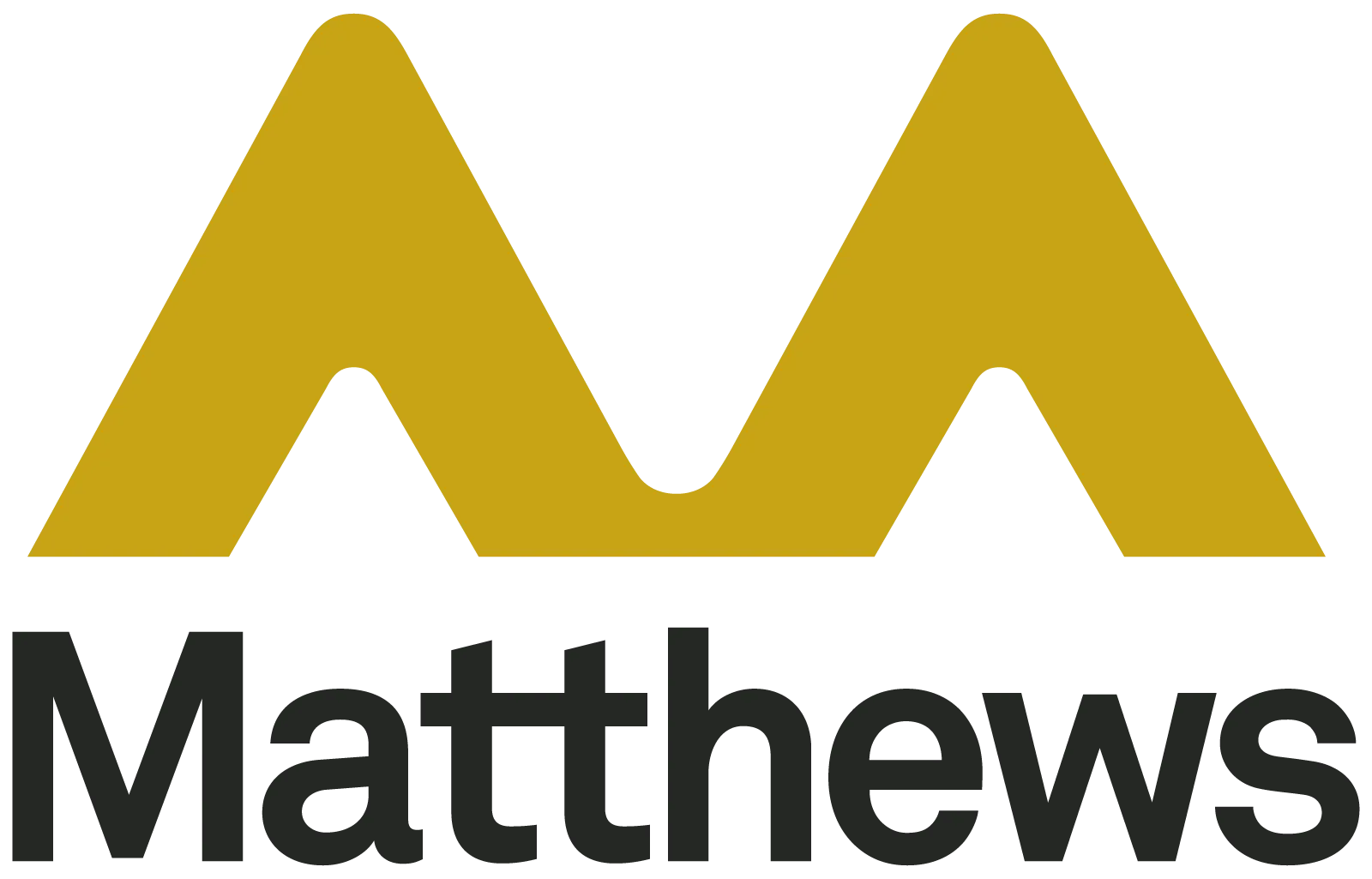 Logo for Matthew Southwest