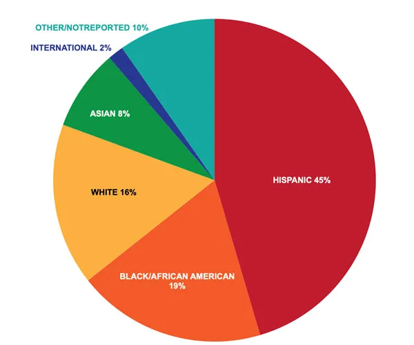 A chart illustrating the makeup of students attending Dallas College. Data is shared in the following text.