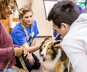 Students at Eastfield pet a dog visiting the campus with it's handler