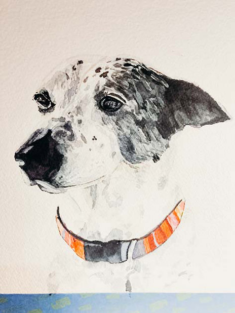 Watercolor painting of a white dog with black ears.