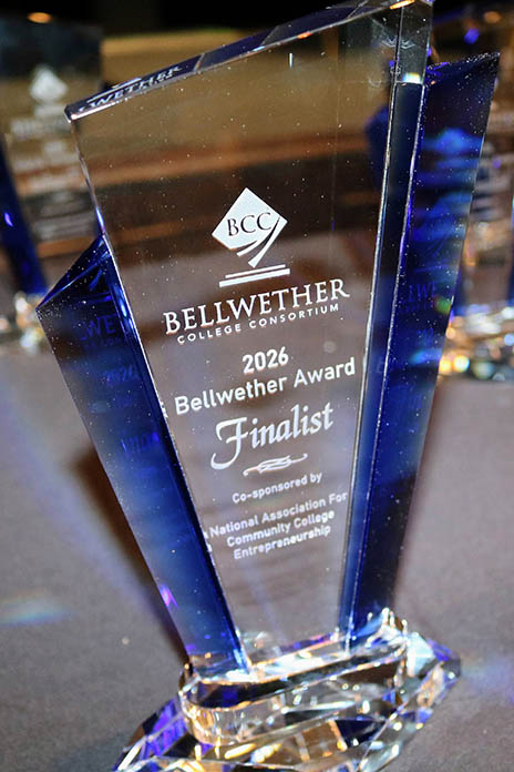 Bellwether Finalist Award