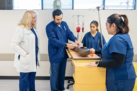 Instructor coaching three nursing students on phlebotomy