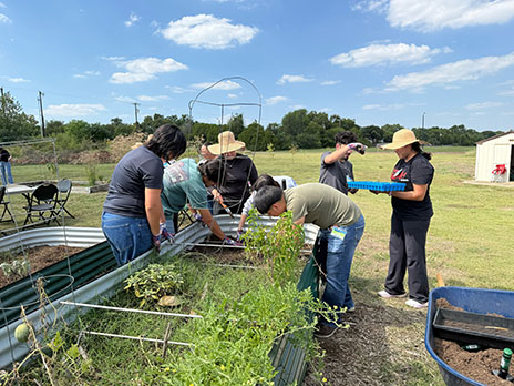 Students working in community garden.