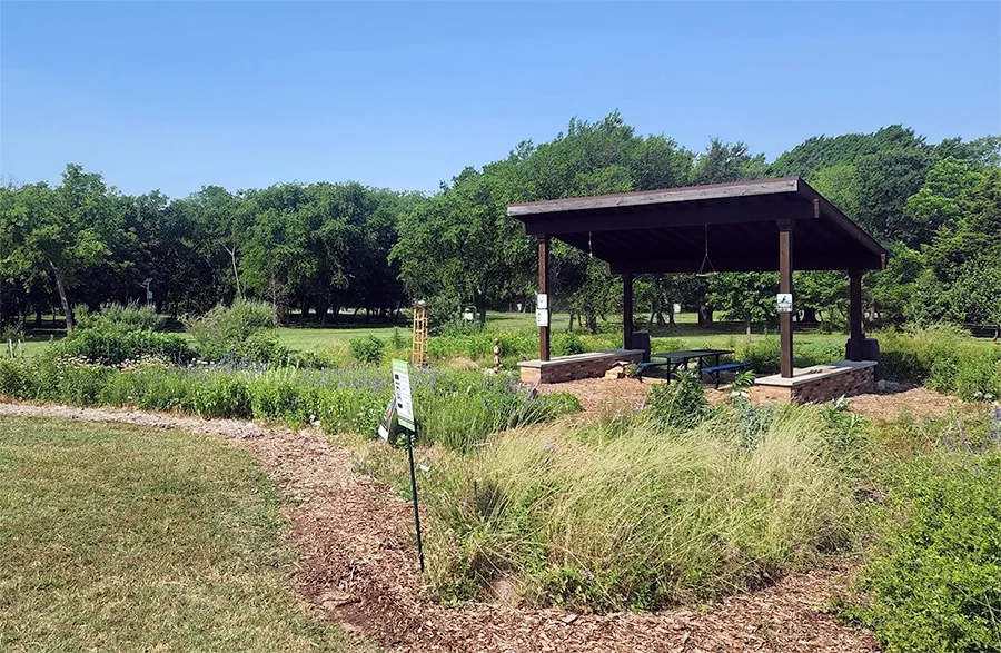 Pollinator garden with tall grass and pavilion with picnic table in the background.
