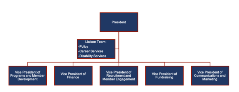 Organizational chart showing a President overseeing a Liaison Team (Policy, Career Services, Disability Services) and five Vice Presidents: Programs and Member Development, Finance, Recruitment and Member Engagement, Fundraising, and Communications and Marketing.