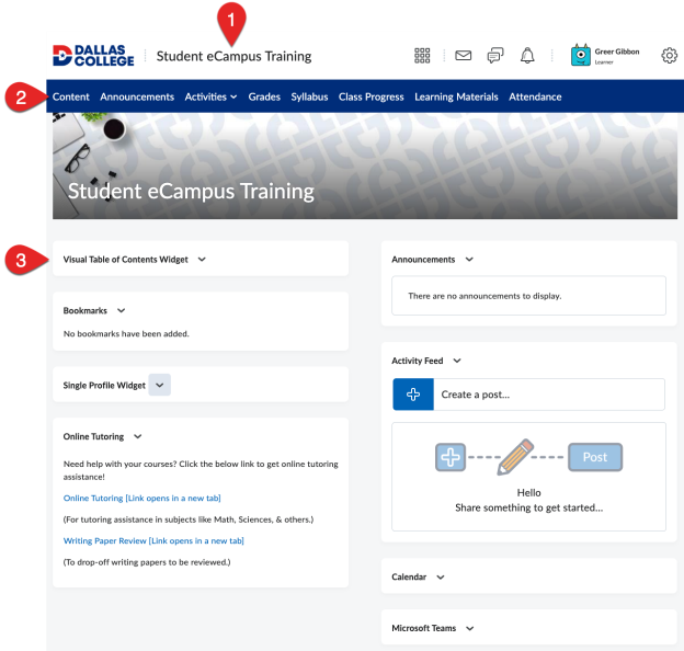 This screenshot captures the view of an eCampus course homepage for the Student eCampus Training course.