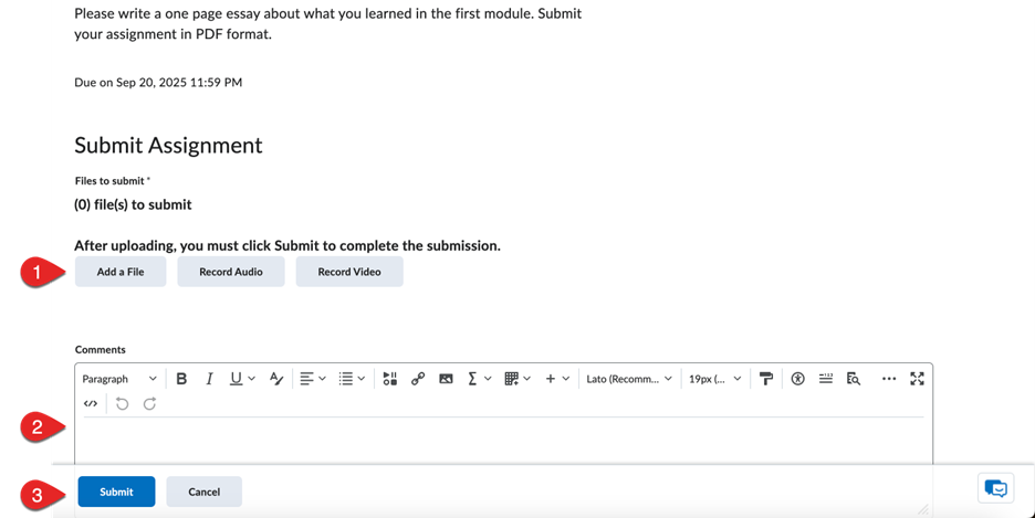 This is a screenshot of the assignment submission page in eCampus.