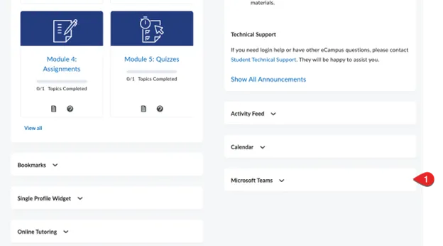 This is a screenshot of a course page’s widgets in eCampus.