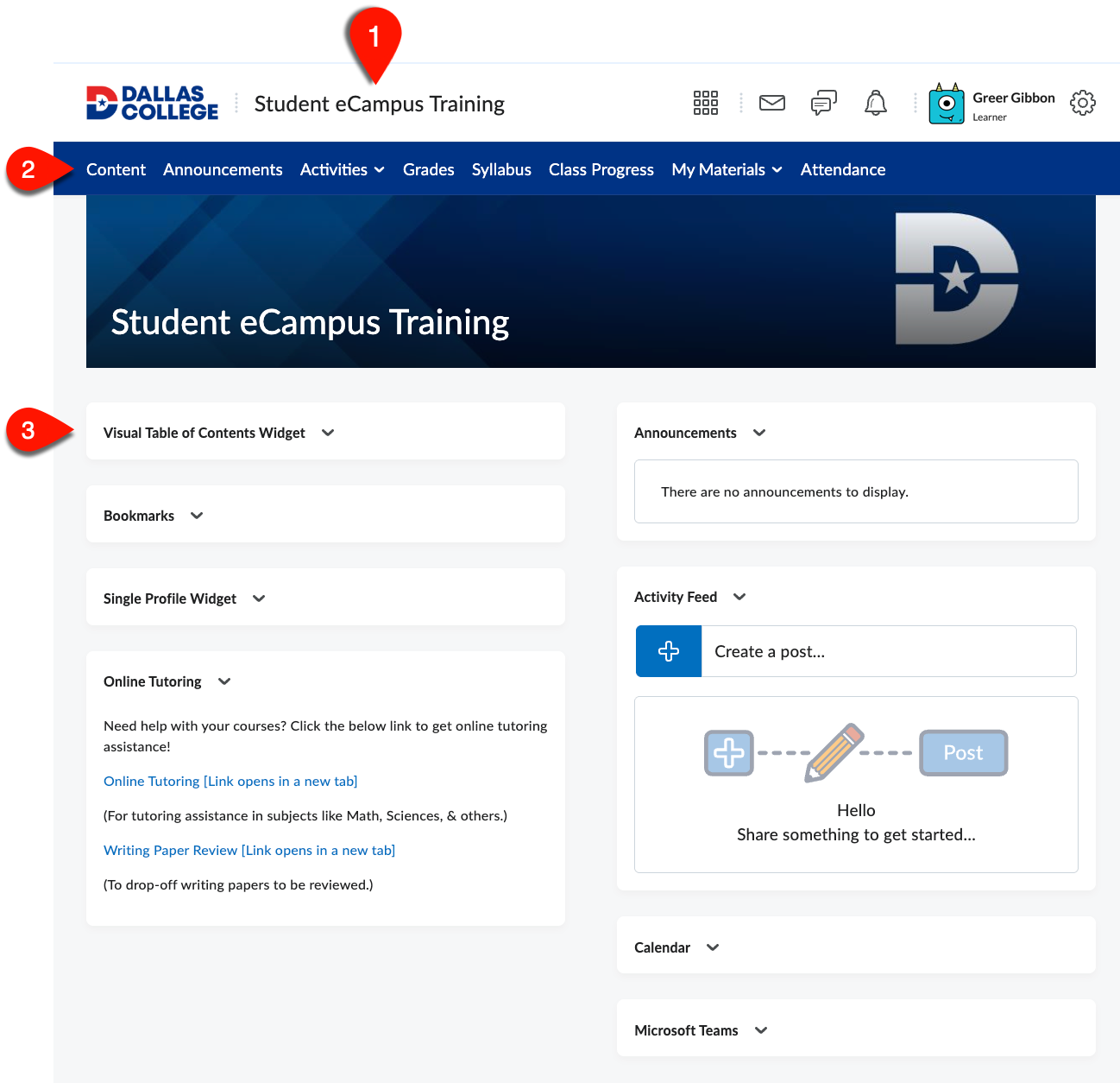 eCampus course homepage showing important parts of the page. Label 1 shows the course name and link at the top. Label 2 shows the blue navigation bar (navbar) with course menus. Label 3 shows the course widgets below the blue navbar on the course homepage.