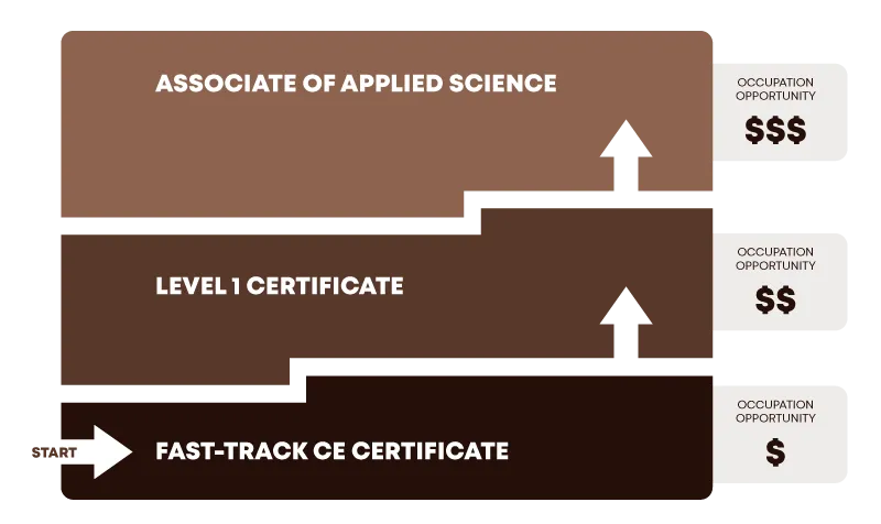 True Pathways Infographic