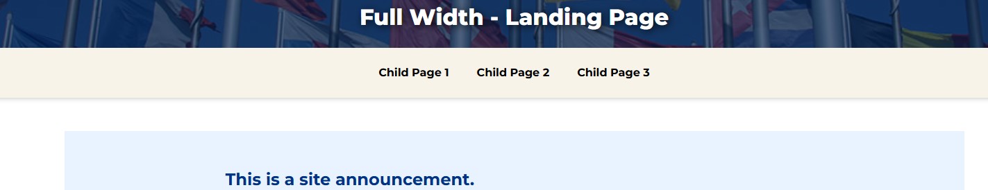 Screenshot example of horizontal navigation content type