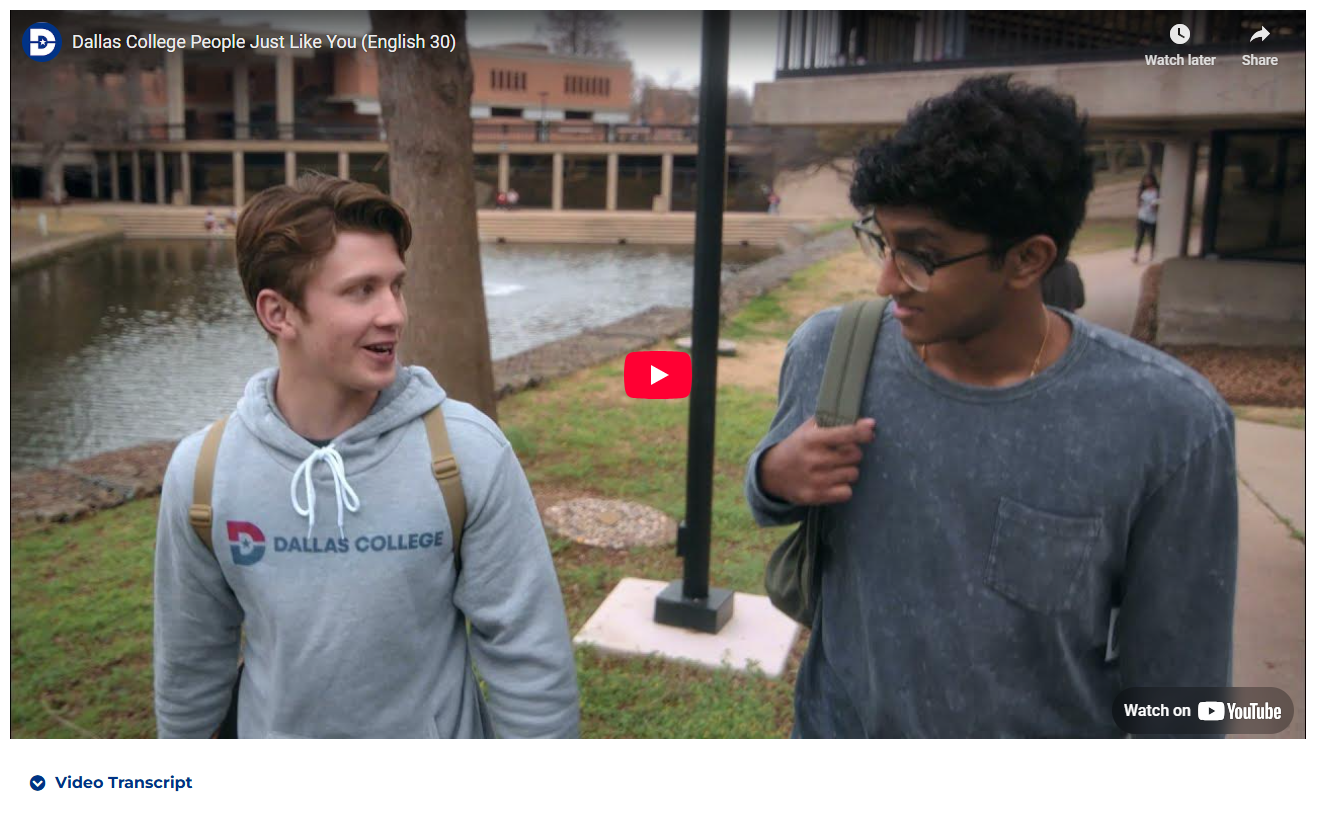 A screenshot of the video player